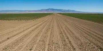Parched agricultural field in Western US showing severe drought impact on crops.